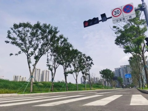 成都风暴市各地项目建设热火朝天的进行中